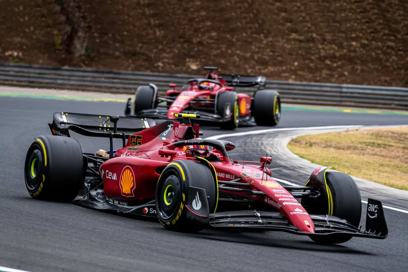 regalo per sainz