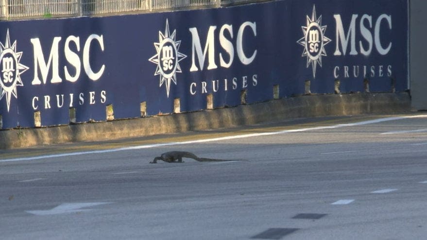 L'iguana in pista durante le FP1 a Singapore