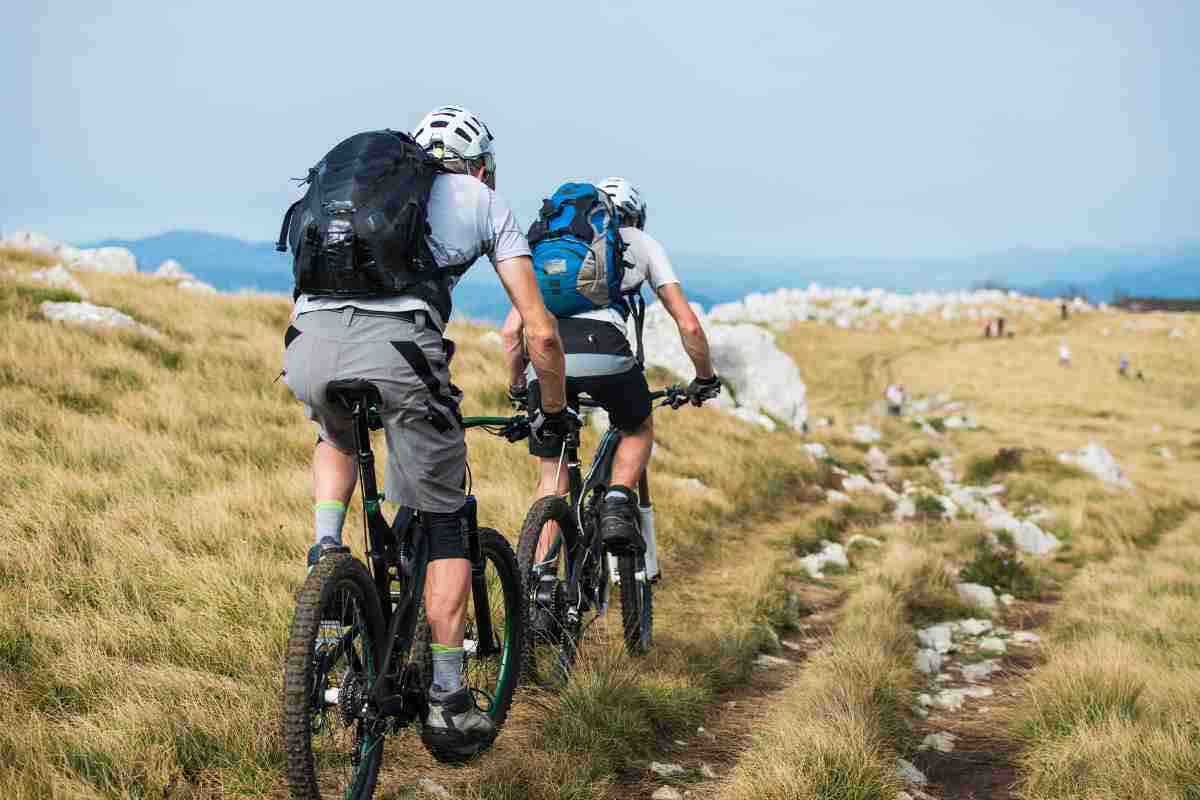 Bici elettrica vendita