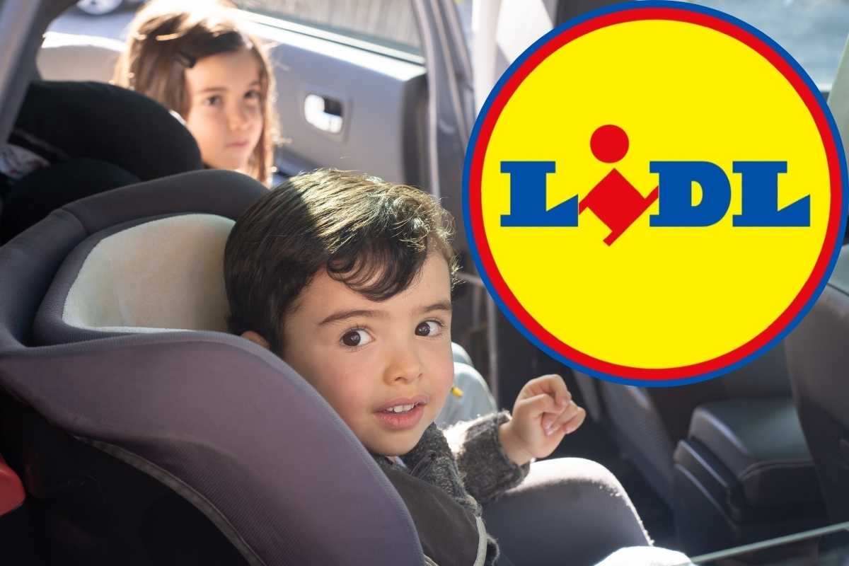 Coprisedili auto LIDL