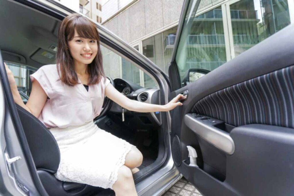 Inserire una foglia di alloro in auto è un gesto semplice e versatile. Si può posizionare una o due foglie direttamente nel cassetto portaoggetti