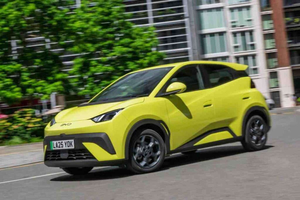 BYD Dolphin Surf prezzo