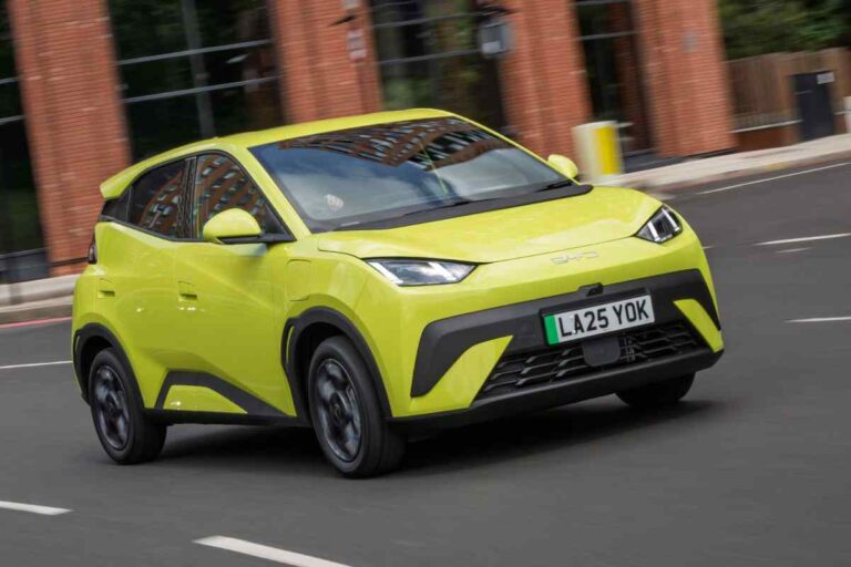 BYD Dolphin Surf prezzo