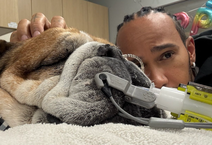 Lewis Hamilton thanks friend Kirstin McMillian for supporting Roscoe and Coco: a heartfelt message