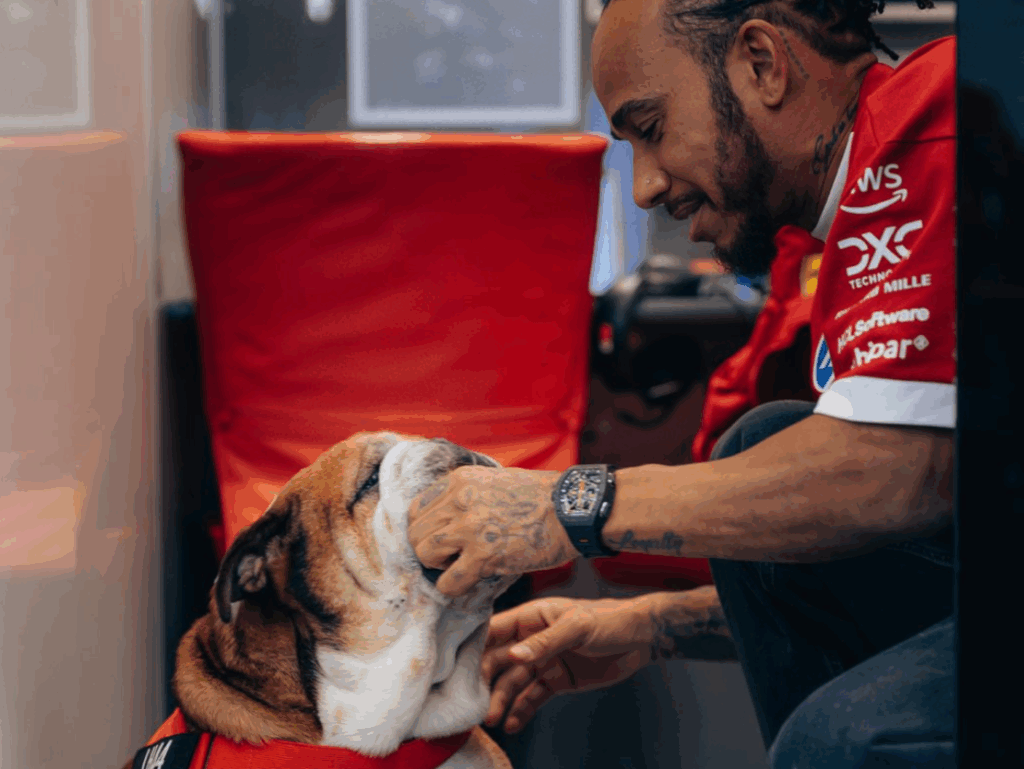 Lewis Hamilton remembers his beloved Roscoe with an Instagram story: “I miss him…”