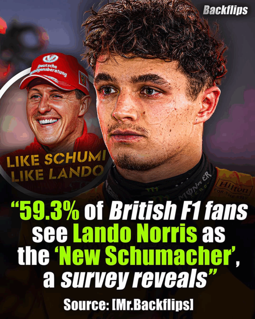 Lando Norris il nuovo Schumacher? Il sondaggio in Gran Bretagna... che in realtà è fake!