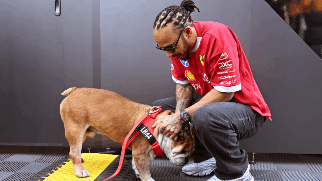 Hamilton e Roscoe, il dolore di Lewis: "Chiunque ha un animale sa quanto è difficile"