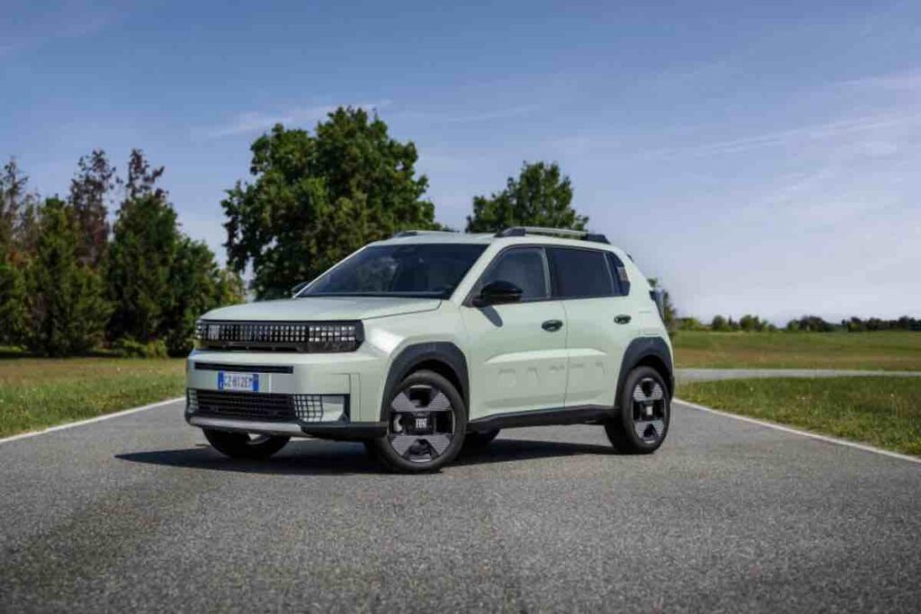 Vendita panda prezzo