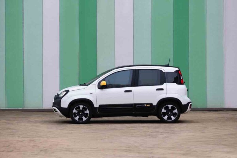 Pandina nuovo modello