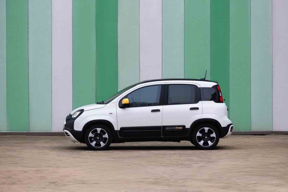 Pandina nuovo modello